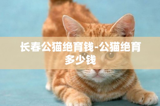 長春公貓絕育錢-公貓絕育多少錢