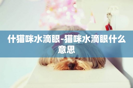 什貓咪水滴眼-貓咪水滴眼什么意思