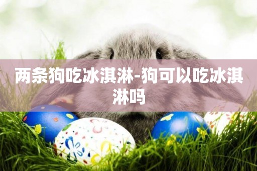 兩條狗吃冰淇淋-狗可以吃冰淇淋嗎