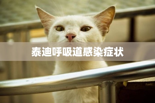 泰迪呼吸道感染癥狀