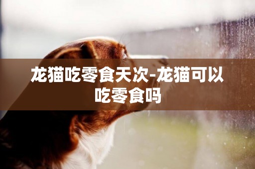 龍貓吃零食天次-龍貓可以吃零食嗎
