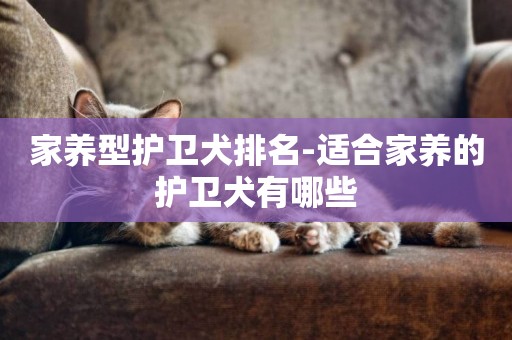 家養型護衛犬排名-適合家養的護衛犬有哪些