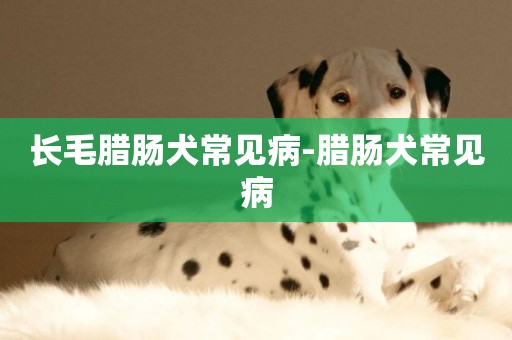 長毛臘腸犬常見病-臘腸犬常見病