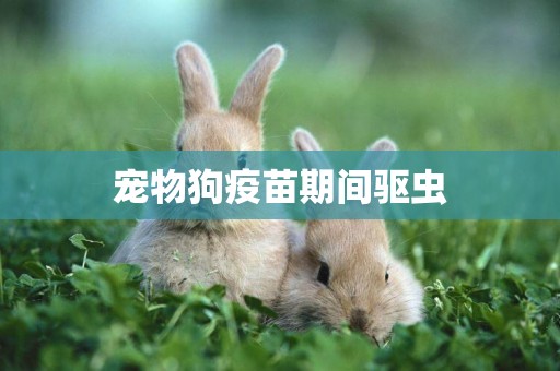 寵物狗疫苗期間驅蟲