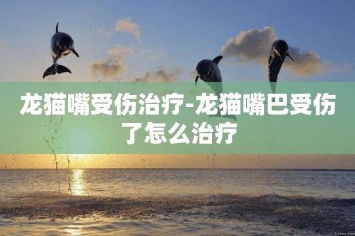 龍貓嘴受傷治療-龍貓嘴巴受傷了怎么治療