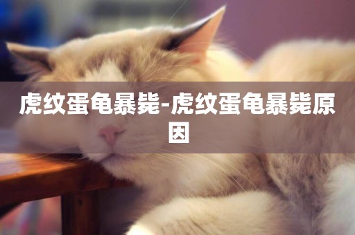 虎紋蛋龜暴斃-虎紋蛋龜暴斃原因