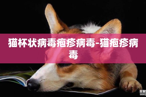 貓杯狀病毒皰疹病毒-貓皰疹病毒