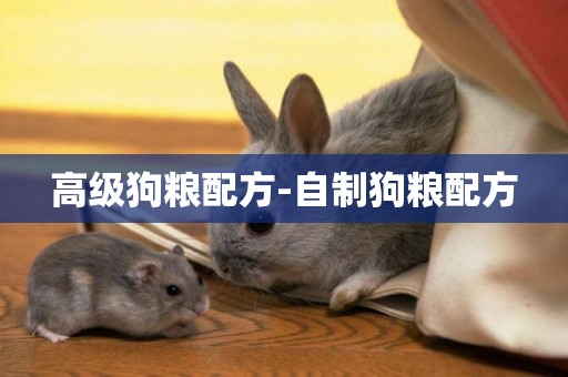 高級狗糧配方-自制狗糧配方