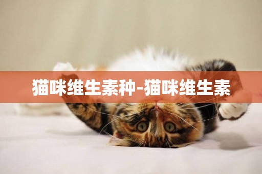 貓咪維生素種-貓咪維生素