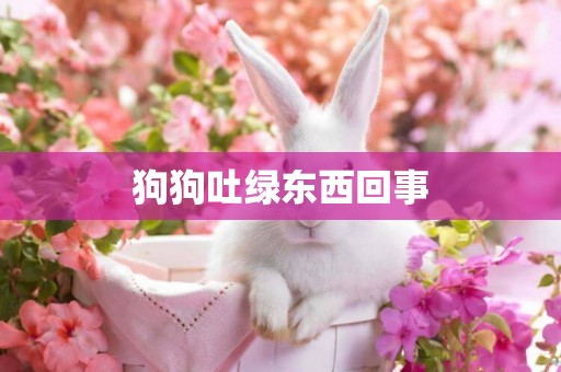 狗狗吐綠東西回事