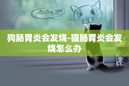 狗腸胃炎會發燒-貓腸胃炎會發燒怎么辦