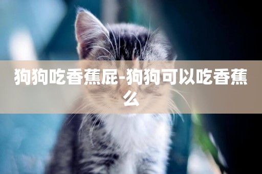 狗狗吃香蕉屁-狗狗可以吃香蕉么
