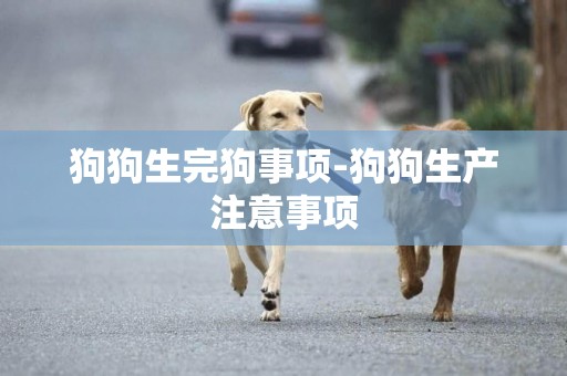 狗狗生完狗事項-狗狗生產注意事項