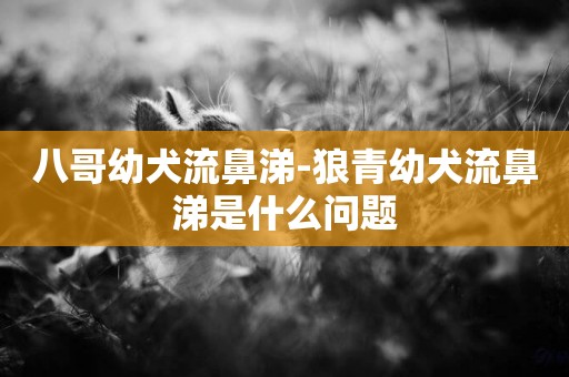 八哥幼犬流鼻涕-狼青幼犬流鼻涕是什么問題