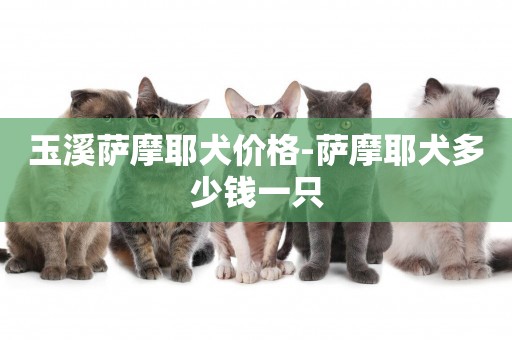 玉溪薩摩耶犬價格-薩摩耶犬多少錢一只