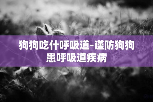 狗狗吃什呼吸道-謹防狗狗患呼吸道疾病