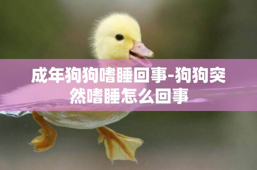 成年狗狗嗜睡回事-狗狗突然嗜睡怎么回事