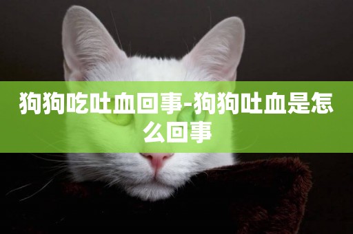 狗狗吃吐血回事-狗狗吐血是怎么回事