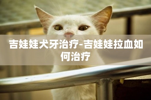 吉娃娃犬牙治療-吉娃娃拉血如何治療