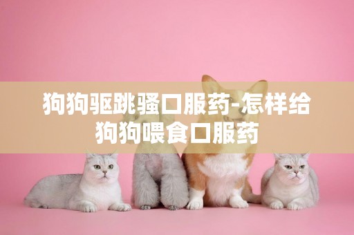 狗狗驅跳騷口服藥-怎樣給狗狗喂食口服藥