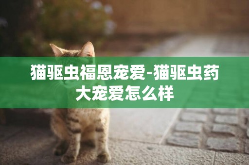 貓驅蟲福恩寵愛-貓驅蟲藥大寵愛怎么樣