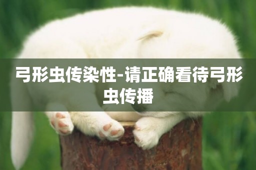 弓形蟲傳染性-請正確看待弓形蟲傳播