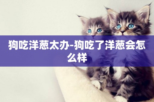 狗吃洋蔥太辦-狗吃了洋蔥會怎么樣