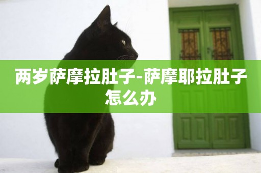 兩歲薩摩拉肚子-薩摩耶拉肚子怎么辦