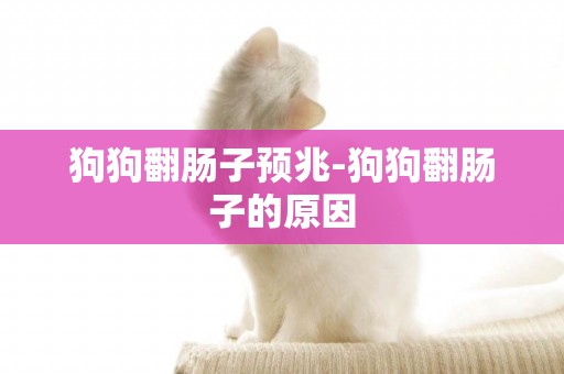 狗狗翻腸子預兆-狗狗翻腸子的原因