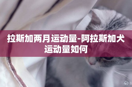 拉斯加兩月運動量-阿拉斯加犬運動量如何