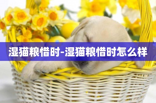 濕貓糧惜時-濕貓糧惜時怎么樣