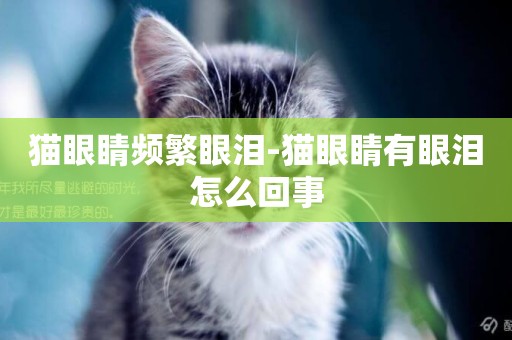 貓眼睛頻繁眼淚-貓眼睛有眼淚怎么回事