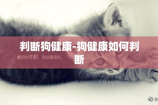 判斷狗健康-狗健康如何判斷