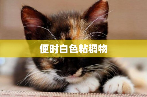 便時白色粘稠物