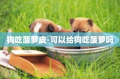 狗吃菠蘿皮-可以給狗吃菠蘿嗎