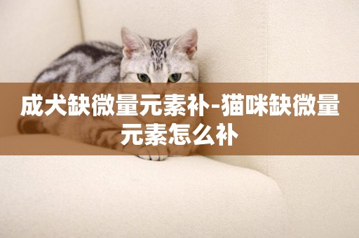 成犬缺微量元素補-貓咪缺微量元素怎么補