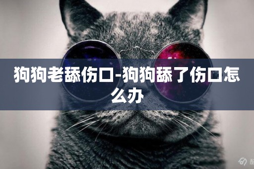 狗狗老舔傷口-狗狗舔了傷口怎么辦