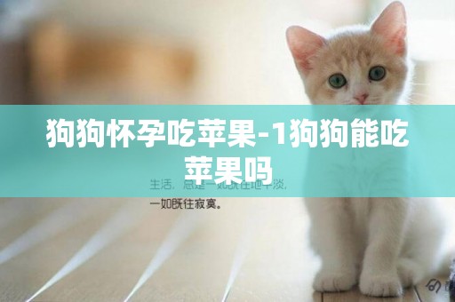 狗狗懷孕吃蘋果-1狗狗能吃蘋果嗎