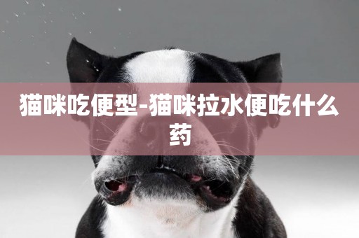 貓咪吃便型-貓咪拉水便吃什么藥