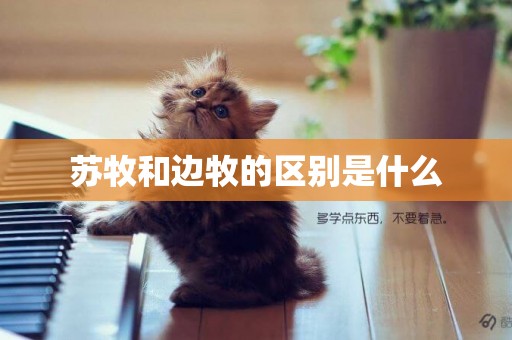 蘇牧和邊牧的區別是什么