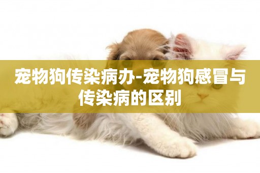 寵物狗傳染病辦-寵物狗感冒與傳染病的區別