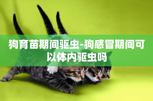 狗育苗期間驅蟲-狗感冒期間可以體內驅蟲嗎