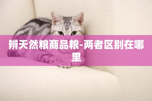 辨天然糧商品糧-兩者區別在哪里
