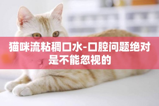 貓咪流粘稠口水-口腔問題絕對是不能忽視的