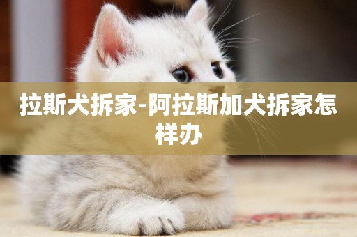 拉斯犬拆家-阿拉斯加犬拆家怎樣辦