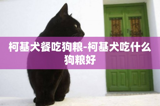 柯基犬餐吃狗糧-柯基犬吃什么狗糧好