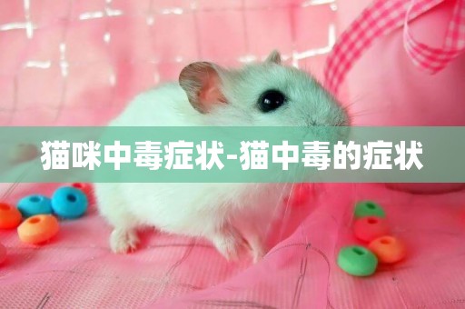 貓咪中毒癥狀-貓中毒的癥狀