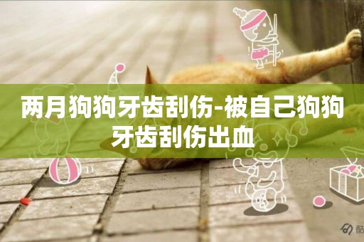 兩月狗狗牙齒刮傷-被自己狗狗牙齒刮傷出血