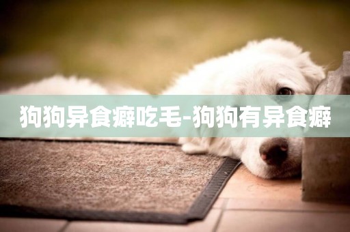 狗狗異食癖吃毛-狗狗有異食癖