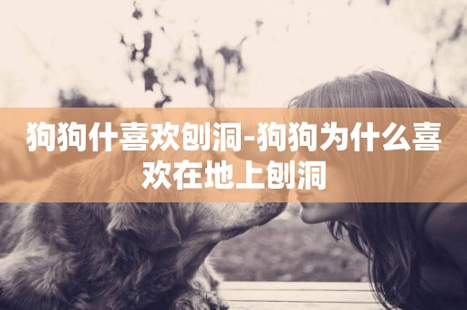 狗狗什喜歡刨洞-狗狗為什么喜歡在地上刨洞